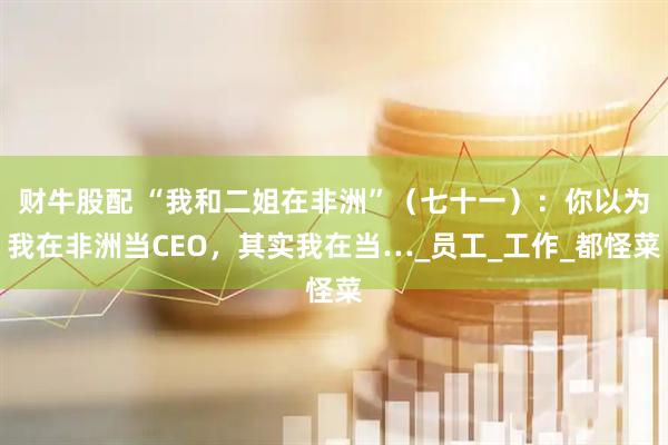 财牛股配 “我和二姐在非洲”（七十一）：你以为我在非洲当CEO，其实我在当…_员工_工作_都怪菜