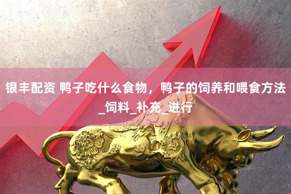 银丰配资 鸭子吃什么食物，鸭子的饲养和喂食方法_饲料_补充_进行