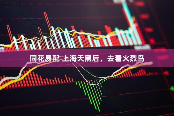 同花易配 上海天黑后，去看火烈鸟