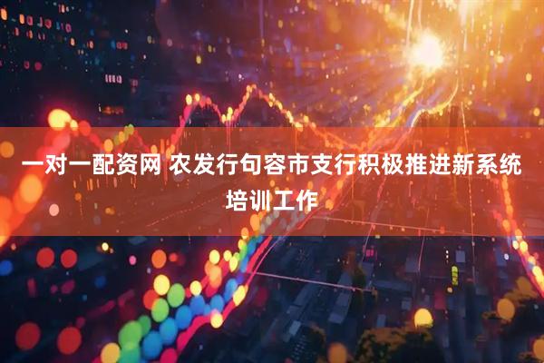 一对一配资网 农发行句容市支行积极推进新系统培训工作